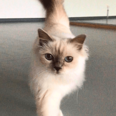 Ella