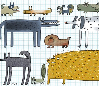 Why Scientists Love to Study Dogs (and Often Ignore Cats)