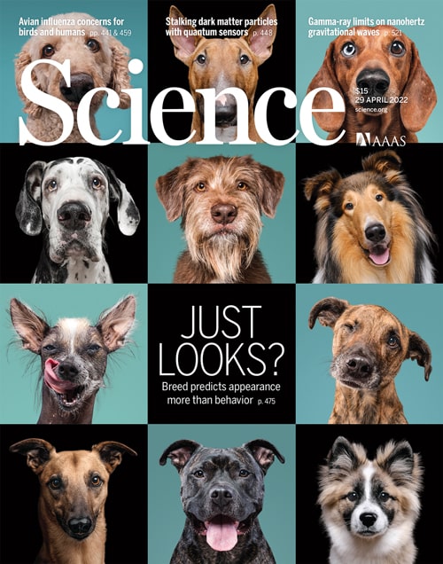 We made the cover of Science!